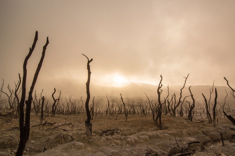 Topic Clusters: Are Keywords Dead?